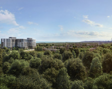 The Narrative Condos