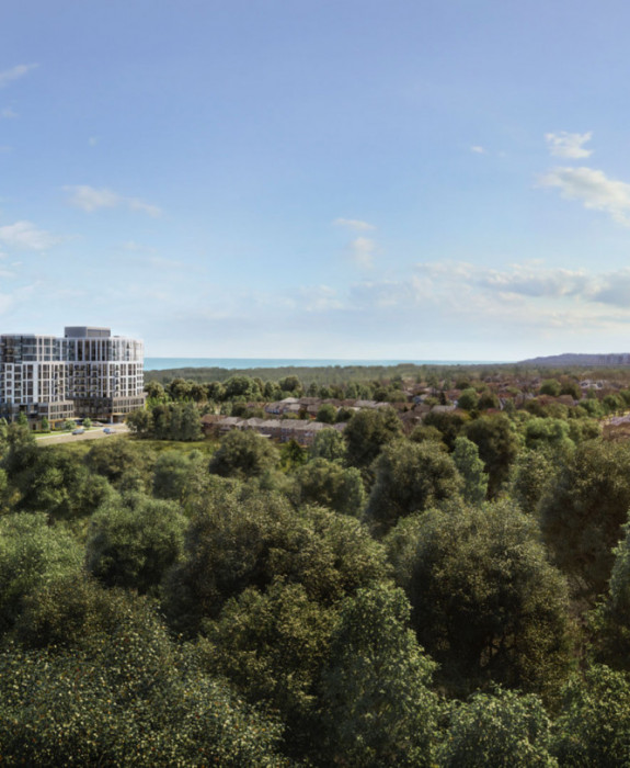 The Narrative Condos